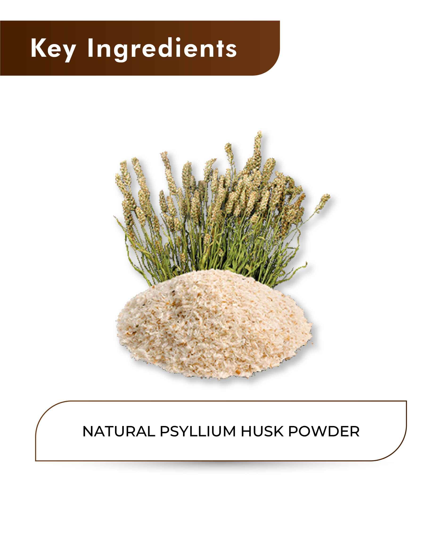 H&C Natural Psyllium Husk Powder 100gm - Digestive Health & Regularity - Health N Wellness Shop