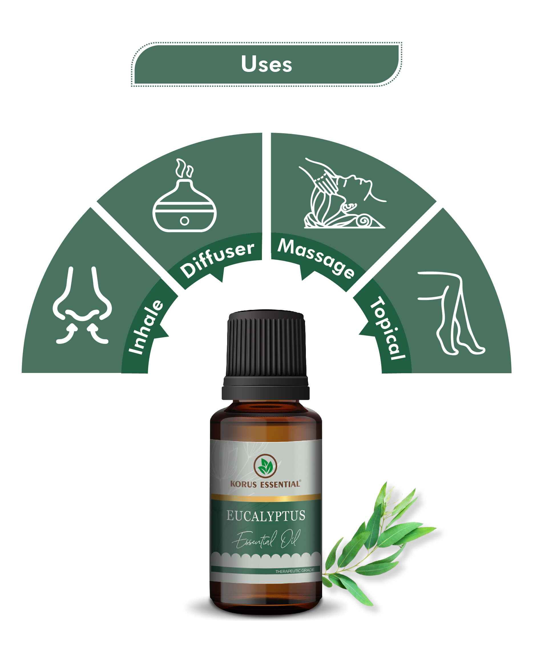 Korus Essential Eucalyptus (Nilgiri) Oil for Respiratory & Relaxation - Health N Wellness Shop