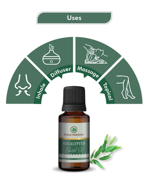 Korus Essential Eucalyptus (Nilgiri) Oil for Respiratory & Relaxation - Health N Wellness Shop
