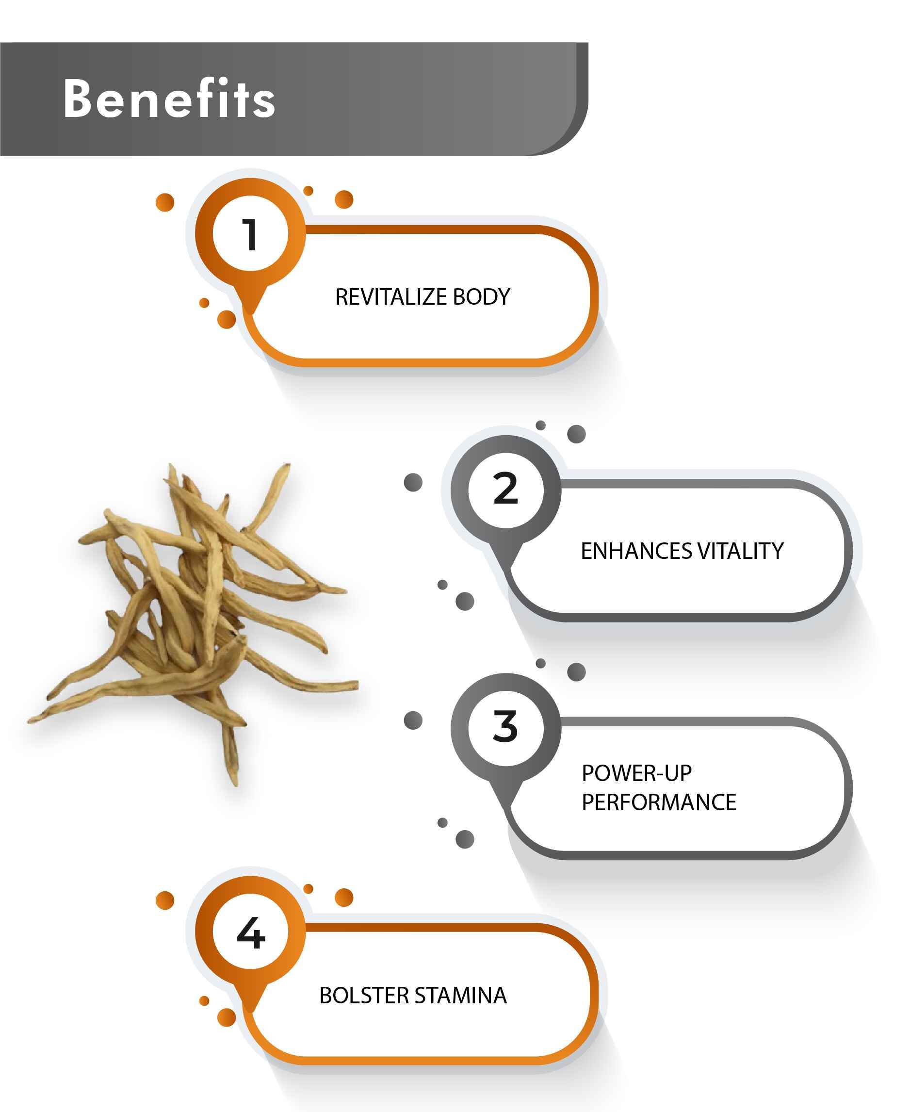 Just Jaivik Organic Safed Musli Tablets - Natural Strength, Stamina & Vitality Booster - Health N Wellness Shop