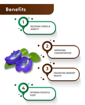 H&C Natural Shankhpushpi Powder 100gm - Brain Health & Cognitive Support - Health N Wellness Shop