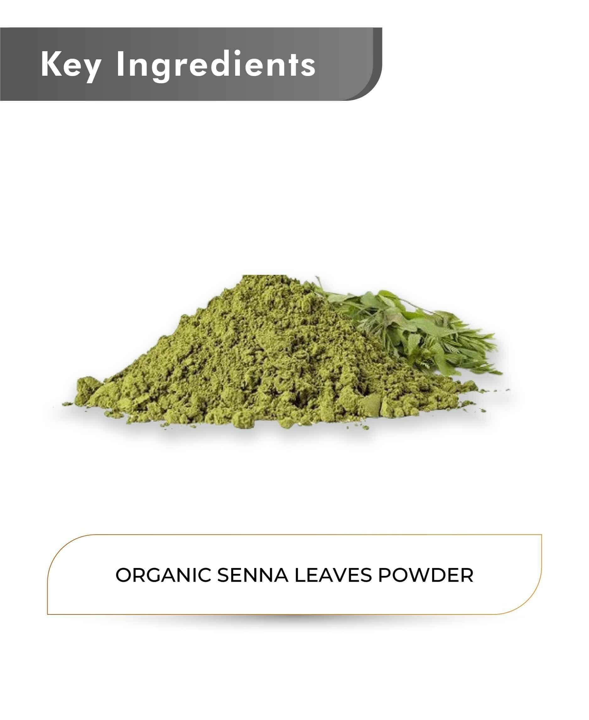 Just Jaivik Organic Senna Powder 100gm - Digestive Relief - Health N Wellness Shop