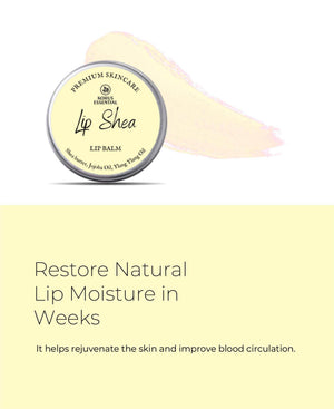 Korus Essential Lip Shea Lip Balm - 8gm - Health N Wellness Shop