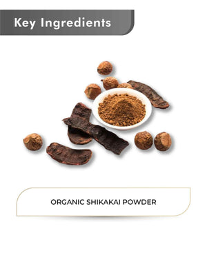 Just Jaivik Organic Shikakai Powder 100gm - Natural Hair Cleanser - Health N Wellness Shop