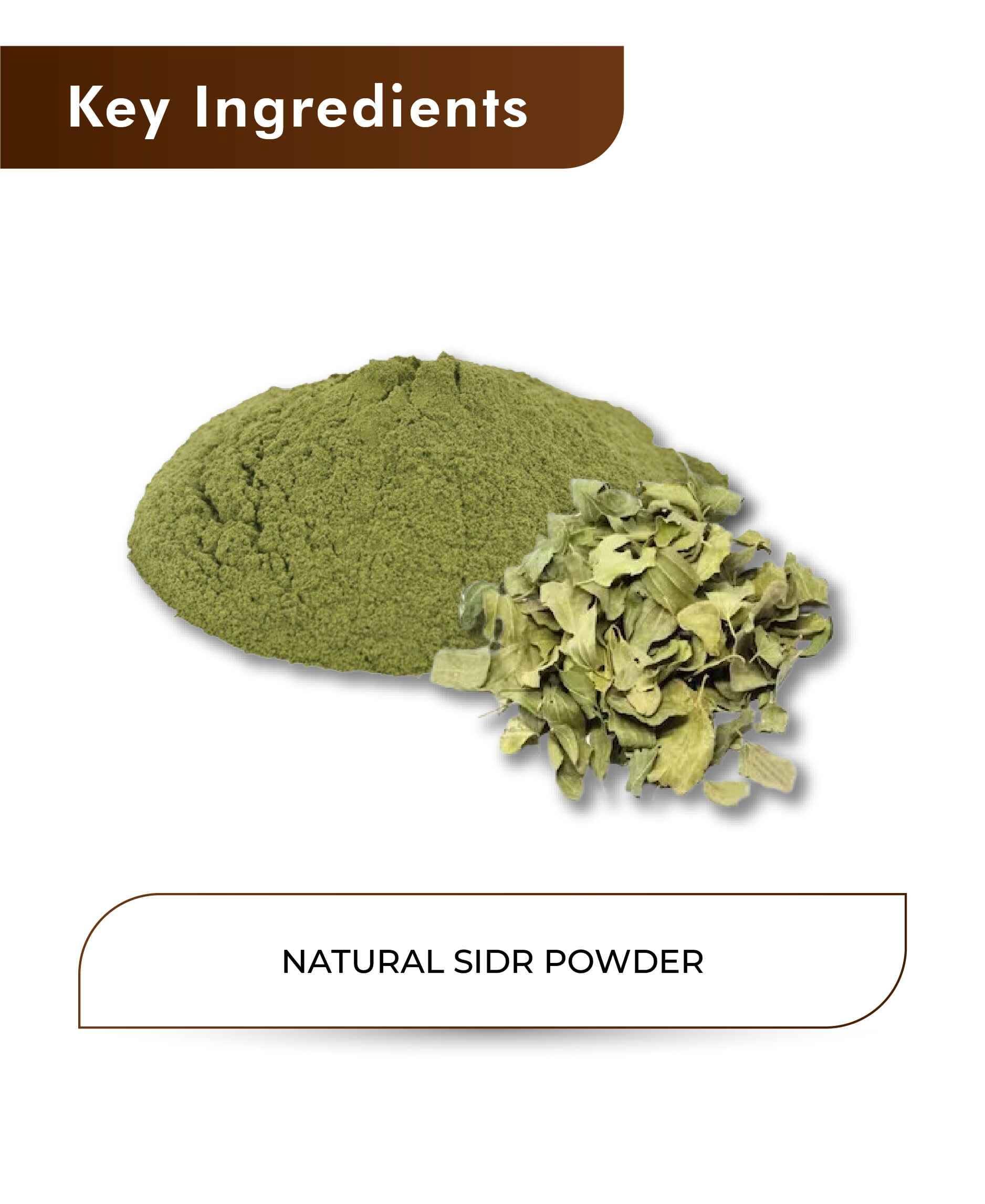 H&C Natural Sidr Powder 100gm - Hair Growth & Scalp Health - Health N Wellness Shop