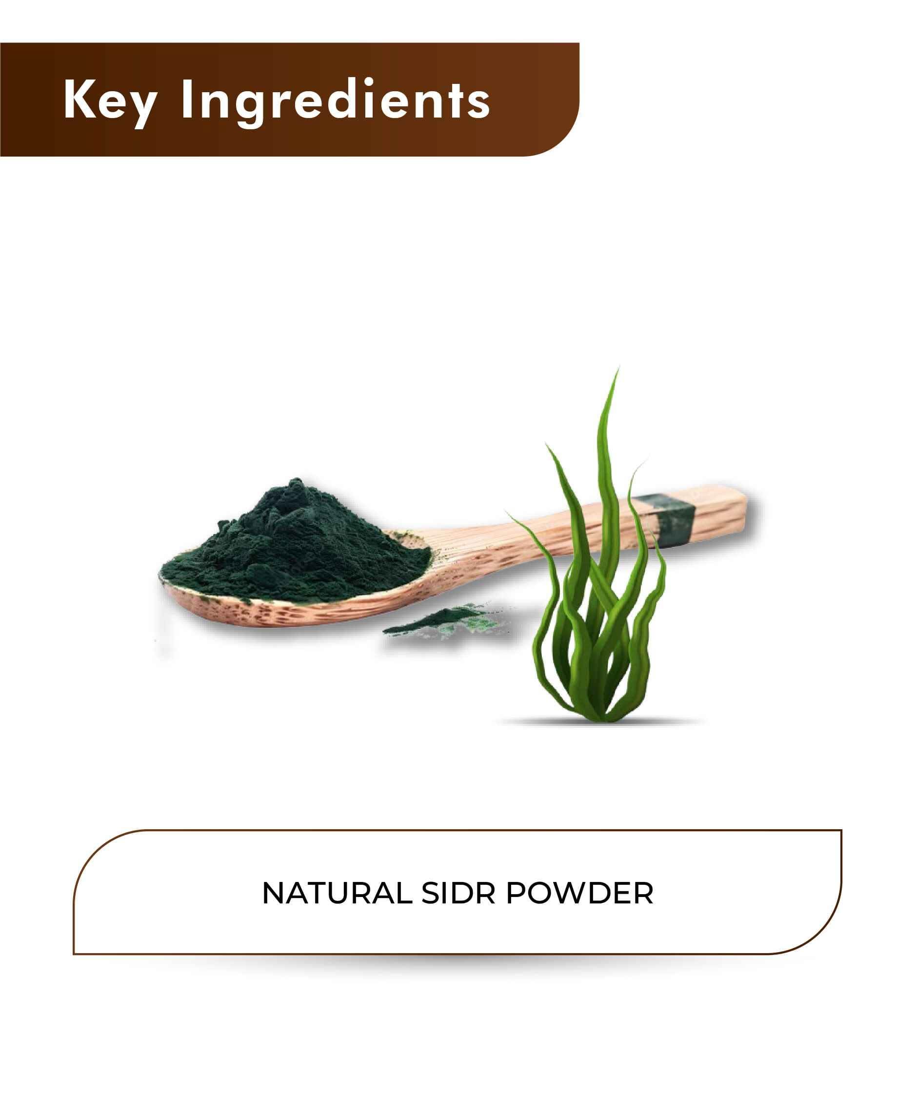 H&C Natural Spirulina Powder 100gm - Protein & Energy Boost - Health N Wellness Shop