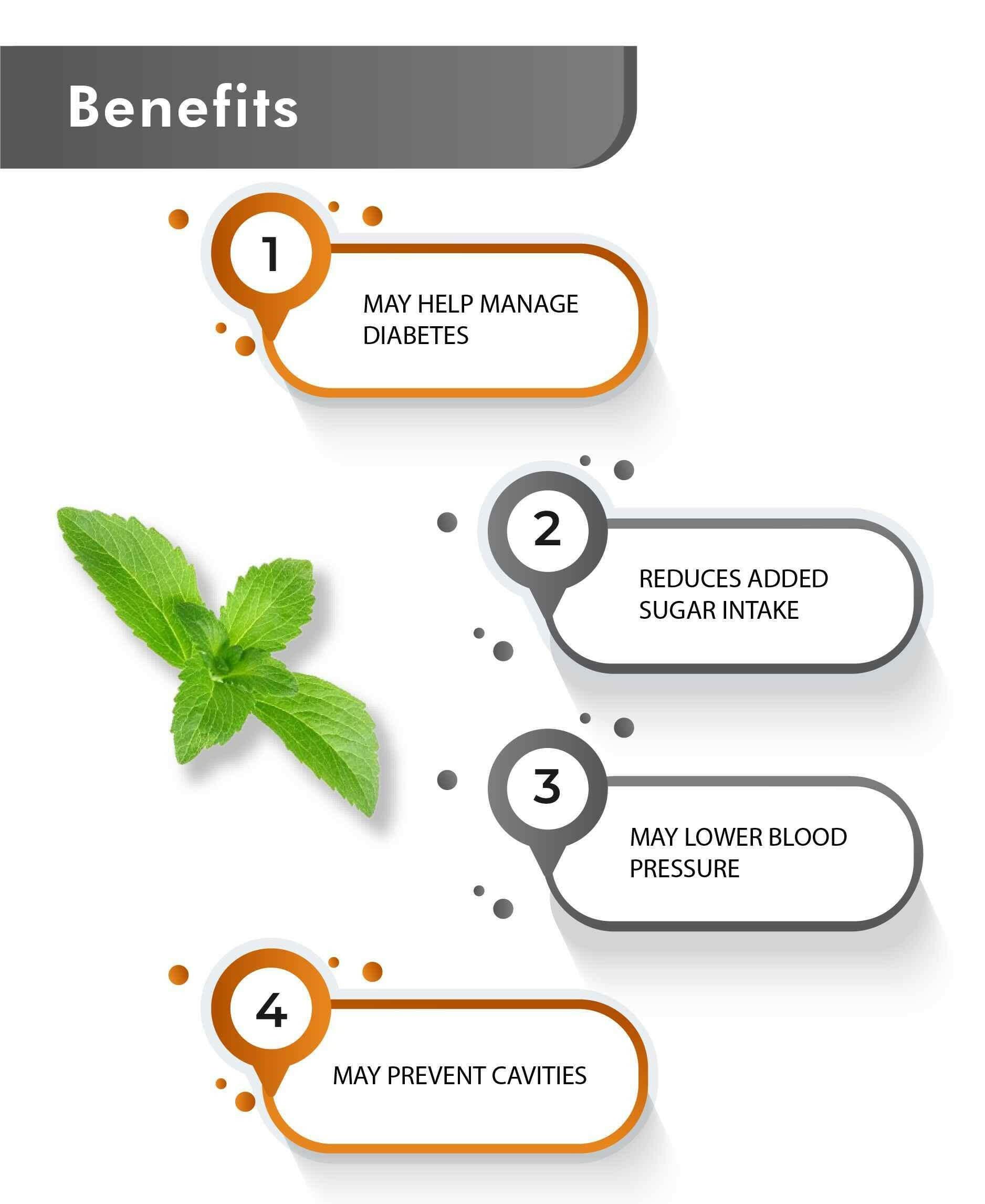 Just Jaivik Organic Stevia Powder 100gm - Zero Calorie Sweetener - Health N Wellness Shop