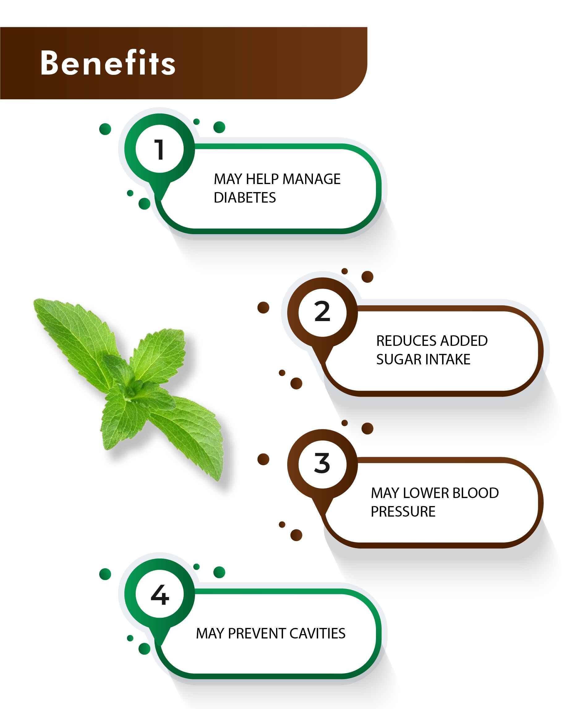 H&C Natural Stevia Powder 100gm - Sugar Substitute - Health N Wellness Shop