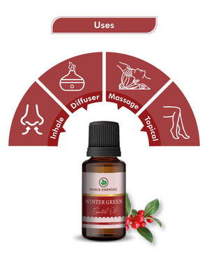 Korus Essential Winter Green Oil – Natural Pain Relief & Aromatherapy - Health N Wellness Shop