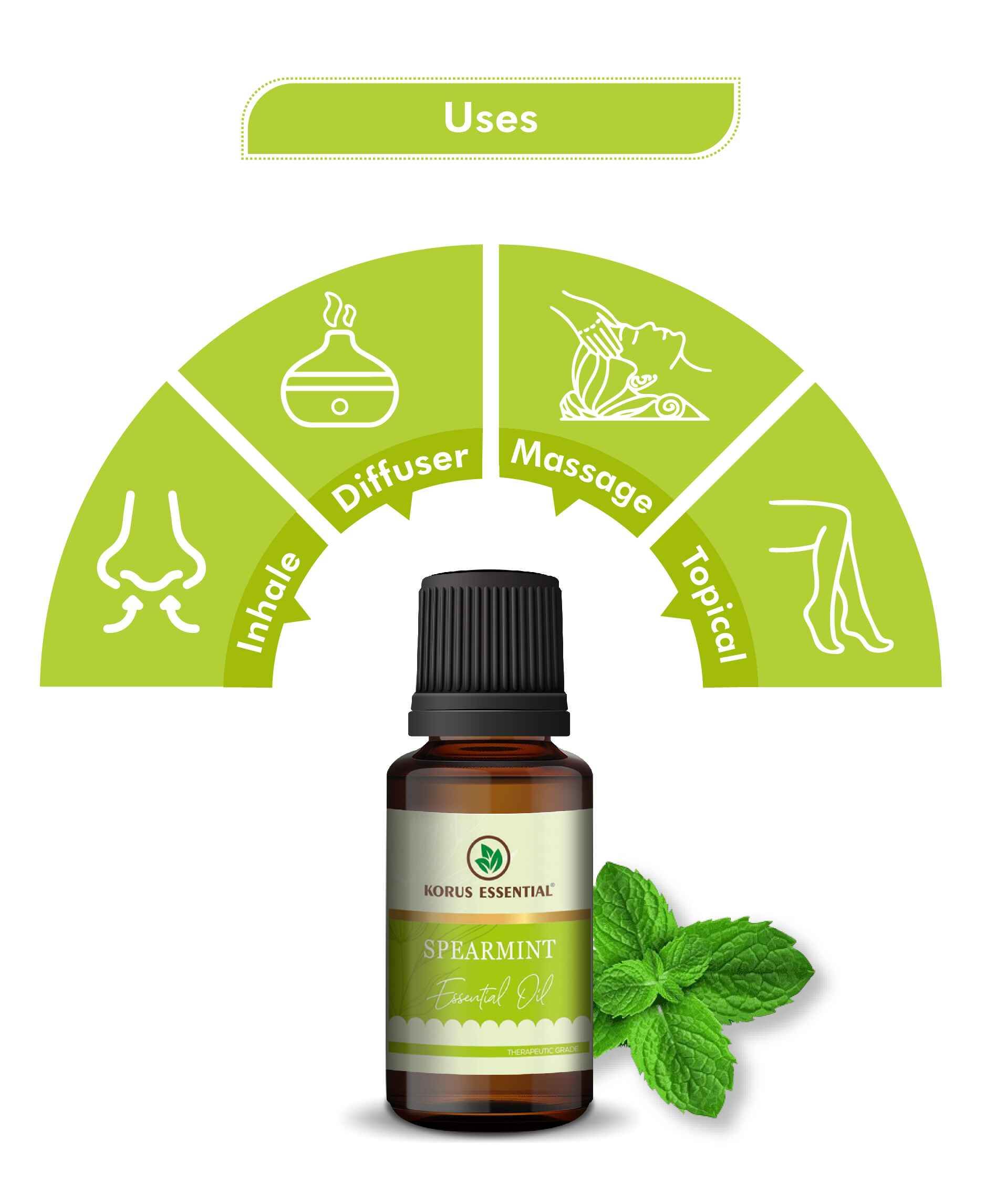 Korus Essential Spearmint Oil – 100% Pure Therapeutic Grade Natural Mint Oil for Aromatherapy, Skin, and Digestive Wellness - Health N Wellness Shop