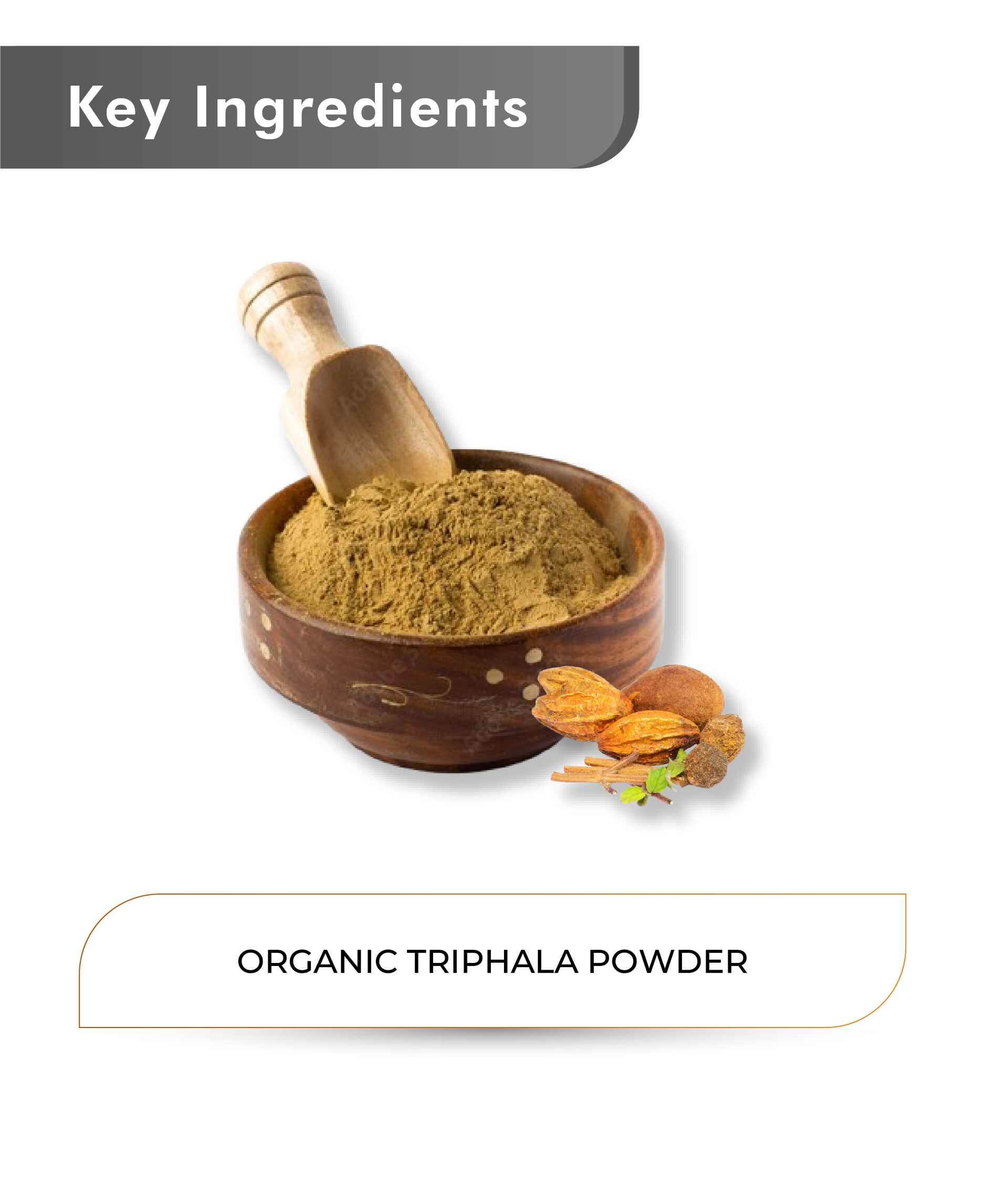 Just Jaivik Organic Triphala Powder 100gm - Digestive Health - Health N Wellness Shop
