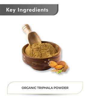 Just Jaivik Organic Triphala Powder 100gm - Digestive Health - Health N Wellness Shop