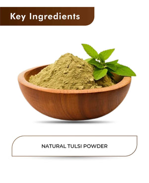 H&C Natural Tulsi Powder 100gm - Immunity & Stress Relief - Health N Wellness Shop