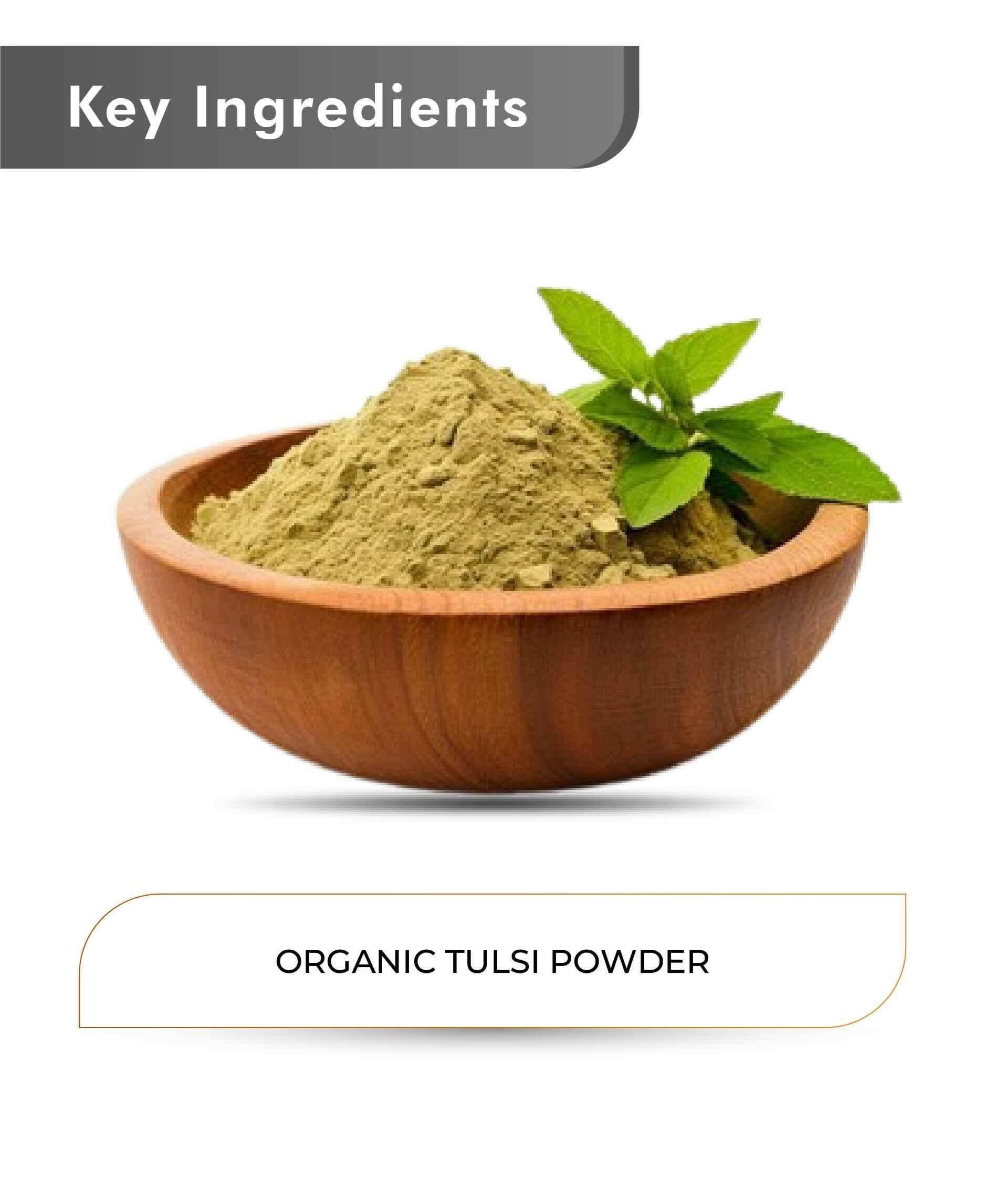 Just Jaivik Organic Tulsi Powder 100gm - Immunity & Stress Relief - Health N Wellness Shop