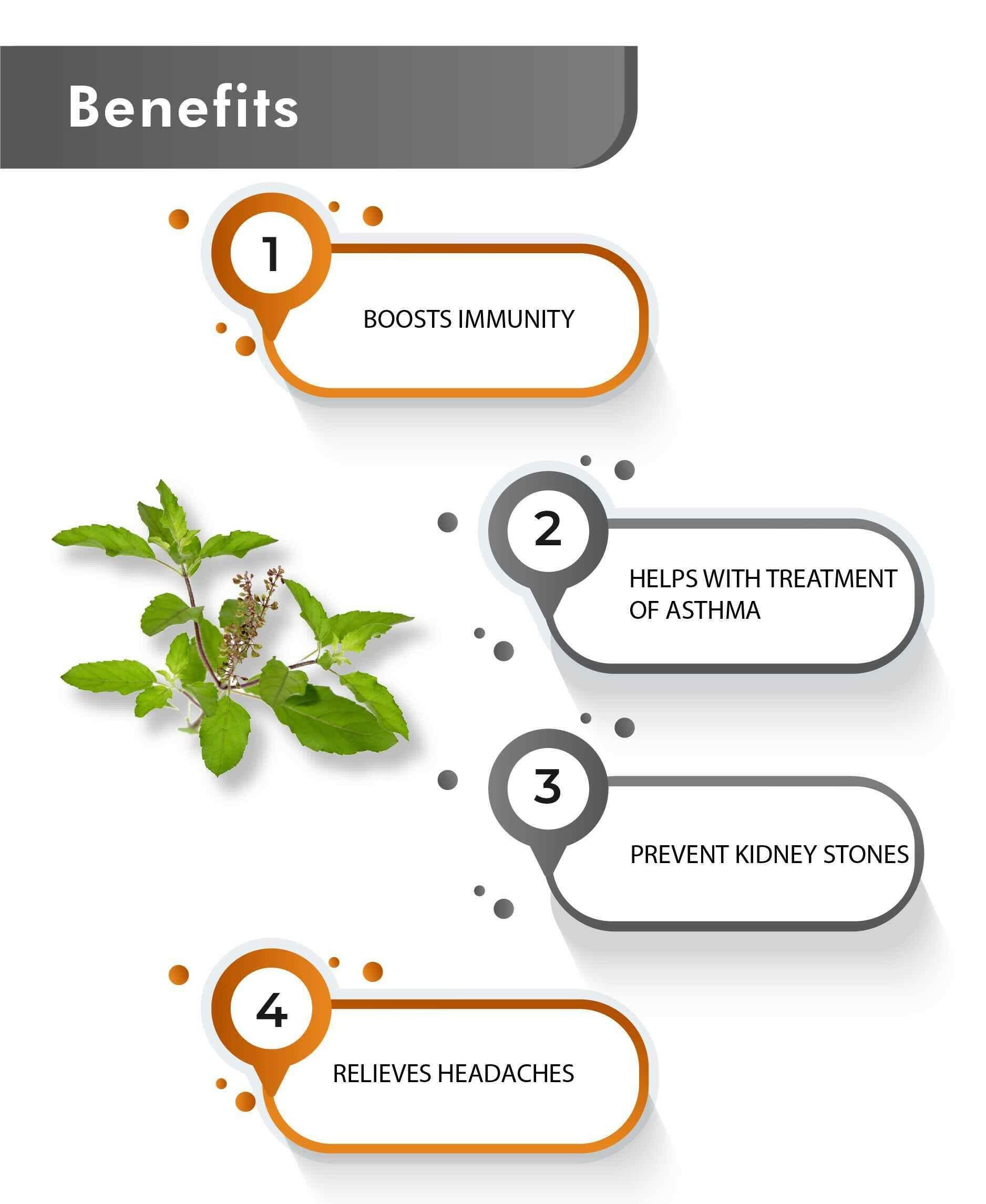 Just Jaivik Organic Tulsi Tablets for Immunity, Respiratory Health & Stress Relief - Health N Wellness Shop