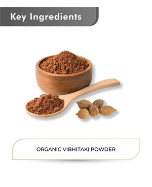 Just Jaivik Organic Vibhitaki Powder 100gm - Digestive Health - Health N Wellness Shop
