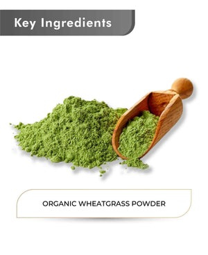 Just Jaivik Organic Wheatgrass Powder 100gm - Detox & Immunity - Health N Wellness Shop
