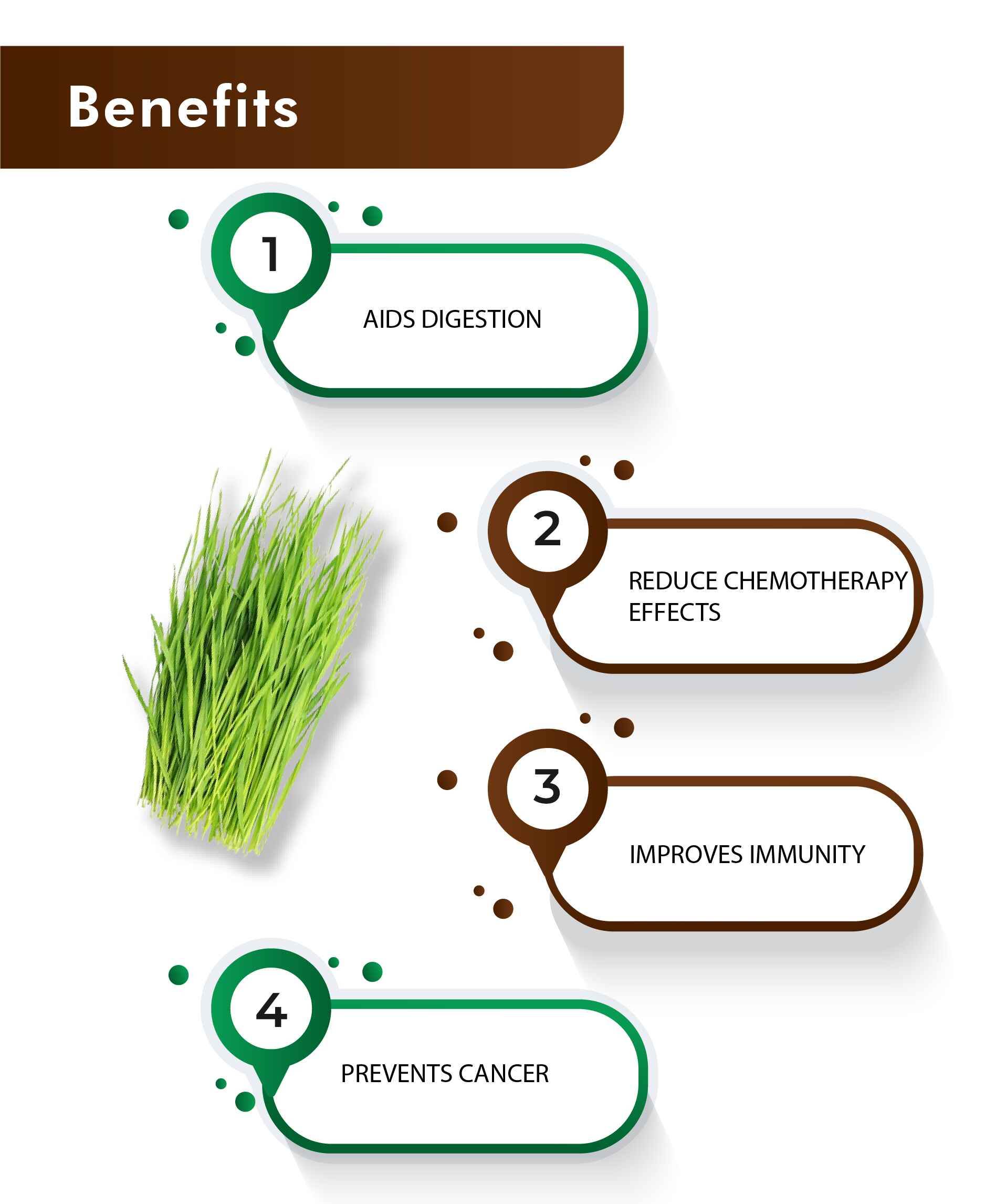 H&C Natural Wheatgrass Tablet 60 Count - Immunity Booster & Detox Support - Health N Wellness Shop