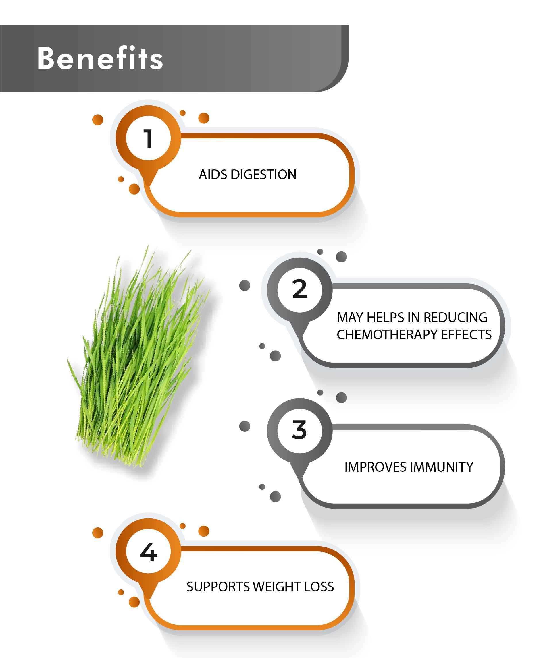 Just Jaivik Organic Wheatgrass Tablets - Natural Detox, Energy Boost & Immunity Support Supplement - Health N Wellness Shop