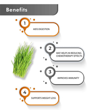 Just Jaivik Organic Wheatgrass Caplets – Natural Detox & Energy Boosting Superfood Supplement - Health N Wellness Shop