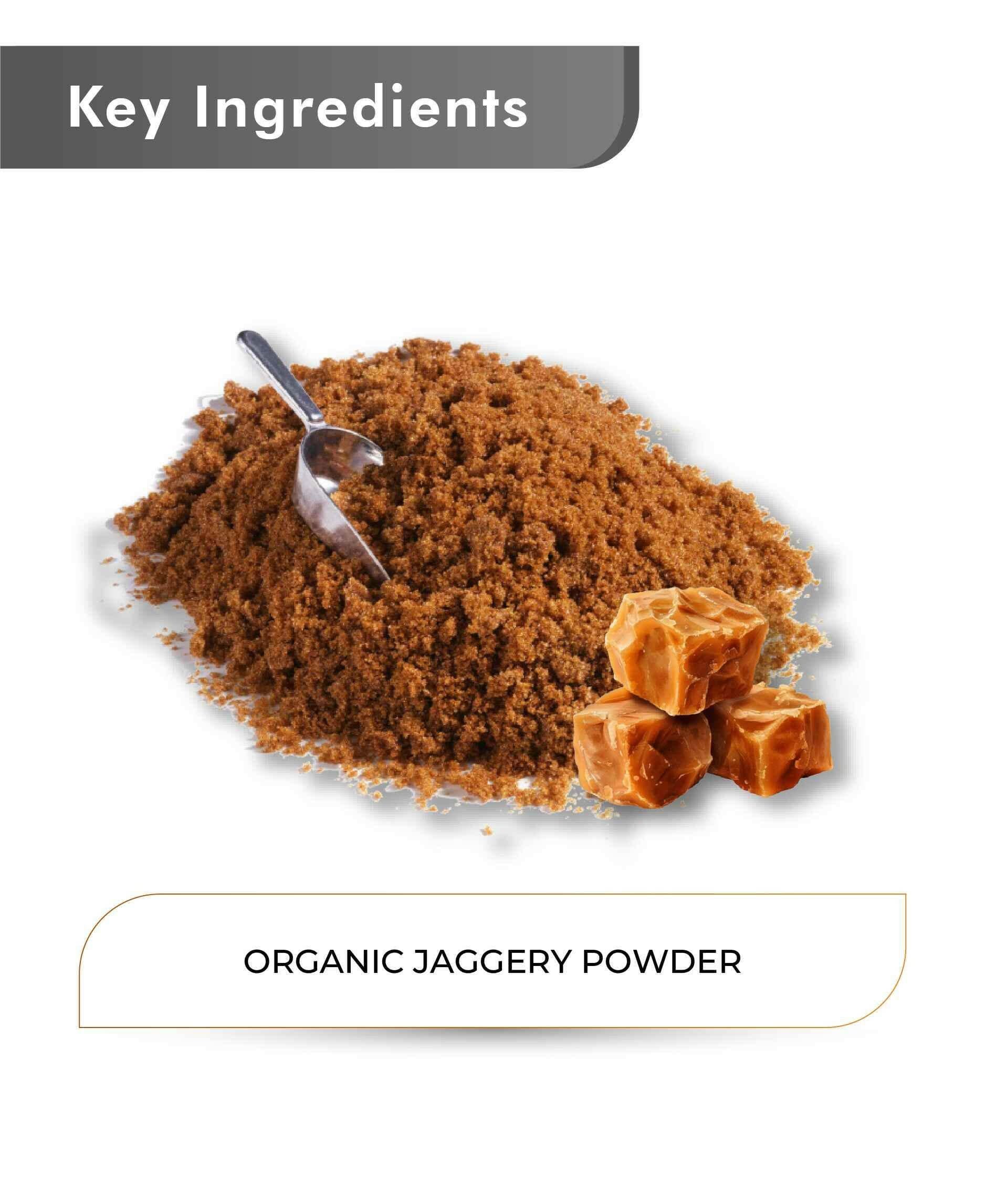 Just Jaivik Organic Jaggery Powder 100gm - Natural Sweetener - Health N Wellness Shop