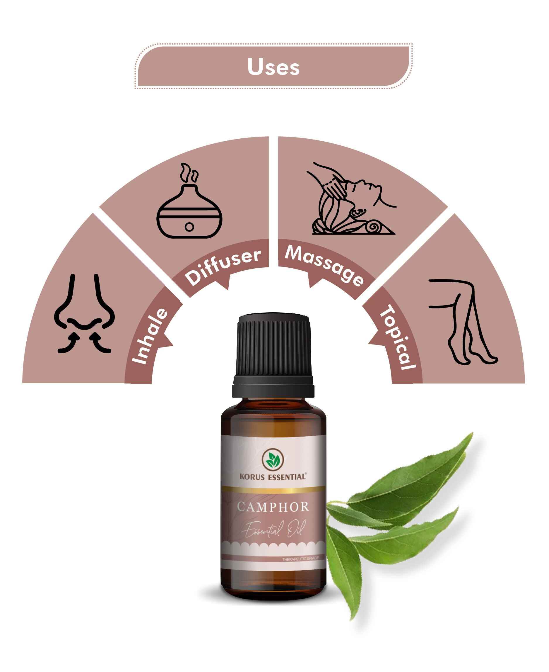 Korus Essential Camphor Oil – 100% Pure Therapeutic Grade for Hair Growth, Pain Relief, and Aromatherapy Uses - Health N Wellness Shop